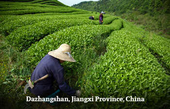 dazhangshan-jiangxi-province-china-1.jpg dazhangshan-jiangxi-province-china-1.jpg