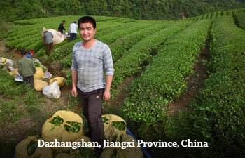 dazhangshan-jiangxi-province-china-7.jpg dazhangshan-jiangxi-province-china-7.jpg