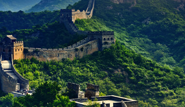 organic-chinese-tea-1.jpg