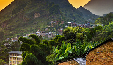 organic-nepali-tea-1.jpg