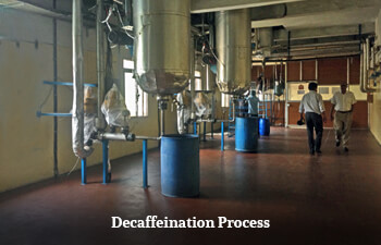 tea-decaffeination-process.jpg tea-decaffeination-process.jpg