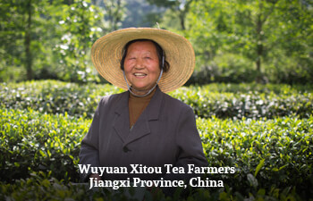 Organic Tea from Jiangxi Province, China Organic Tea from Jiangxi Province, China